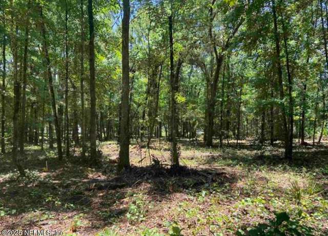 Property at 4810 Noel St, Hastings, FL 32145