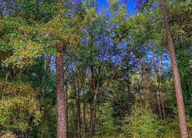 Property at 124 Lancaster St, Interlachen, FL 32148
