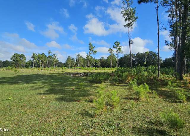 Property at 0 NE 199th St, Waldo, FL 32694