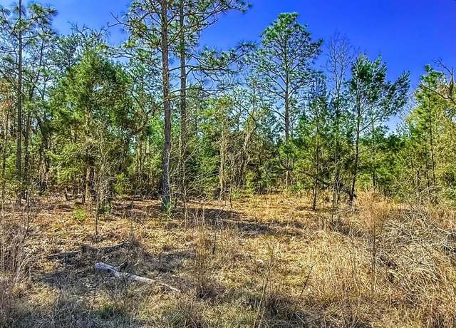Property at 515 Interlachen Blvd, Interlachen, FL 32148