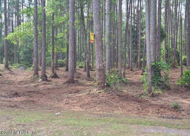 Property at 243 Georgetown Denver Rd, Georgetown, FL 32139
