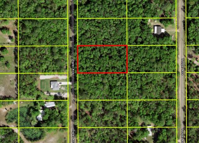 Property at 10220 Zigler Ave, Hastings, FL 32145