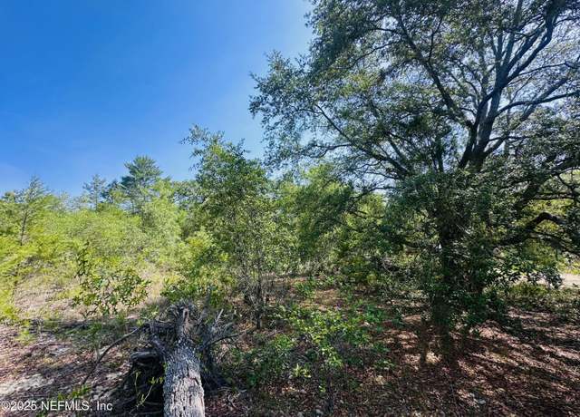 Property at 6007 Furman Ave, Keystone Heights, FL 32656