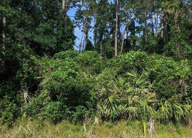 Property at 00 Roddy Rd, Palatka, FL 32177