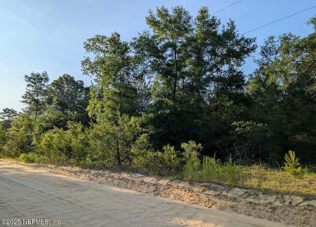 Property at 0440-0090 Adrian Ave, Interlachen, FL 32148