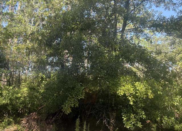 Property at 0060 Montague Ave, Interlachen, FL 32148