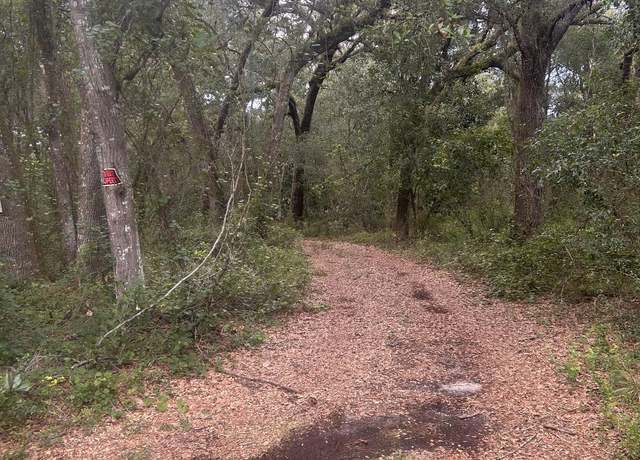 Property at 0 SE 182nd Ave Rd, Ocklawaha, FL 32179