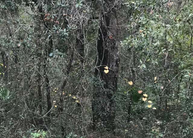 Property at LOT 27 Brett Ave, Interlachen, FL 32148