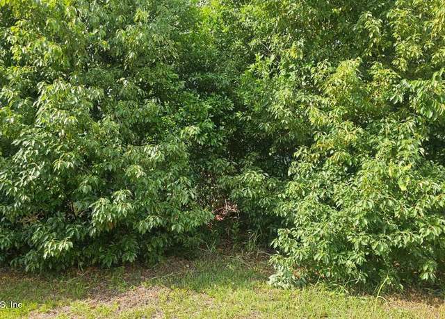 Property at Undisclosed address, Jacksonville, FL 32208, 3 beds, 1 bath