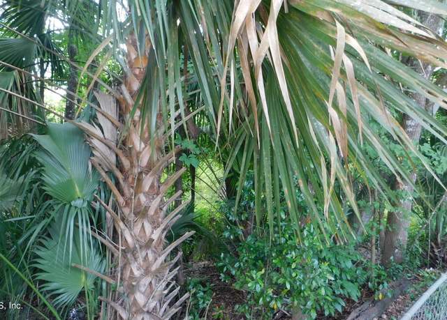 Property at 0 McCowan Dr, Jacksonville, FL 32244