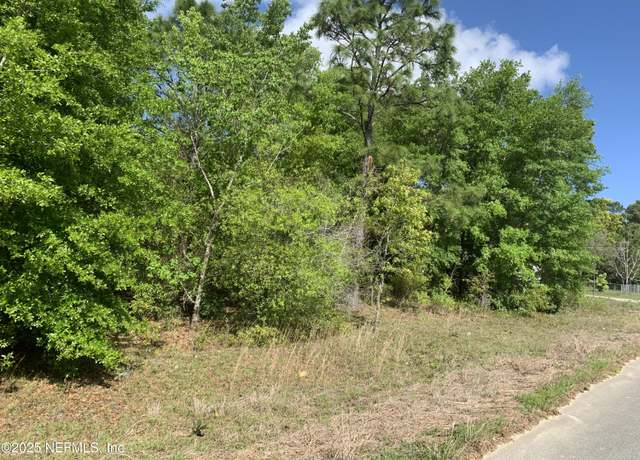 Property at 000 Istanbul St, Interlachen, FL 32148