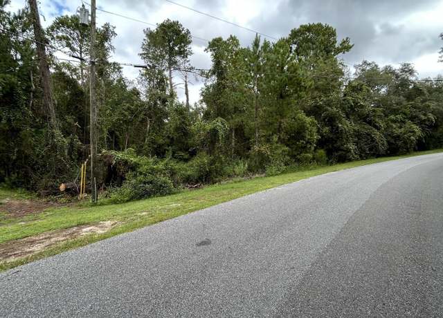 Property at 4431 Tarragon Ave, Middleburg, FL 32068