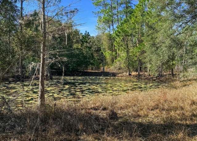 Property at 0 Carteret Rd, Georgetown, FL 32139