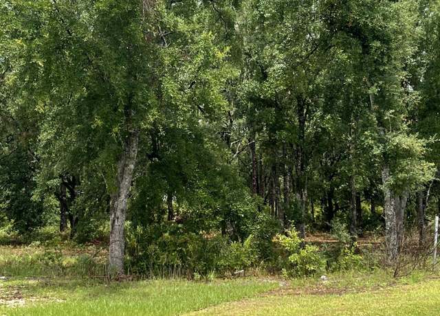Property at 0 Royal Pines Dr, Middleburg, FL 32068