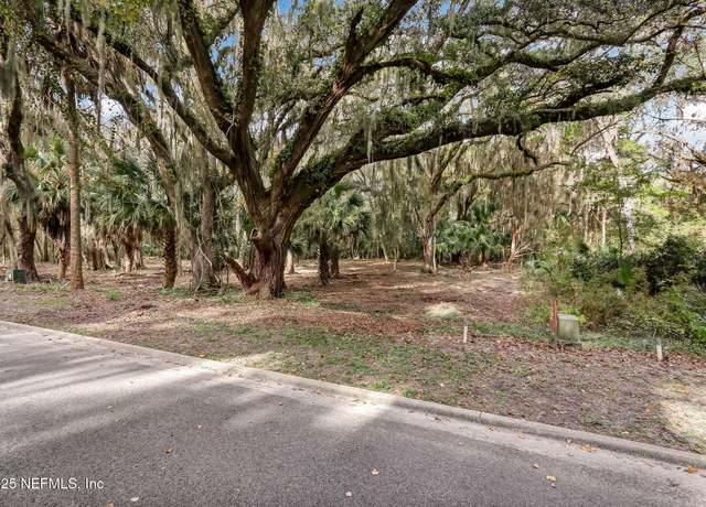 Property at 0 Wagner V/l 919 Ln, St. Marys, GA 31558