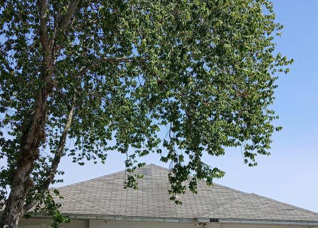 Property at 1574 Slash Pine Ct, Orange Park, FL 32073, 4 beds, 2 baths