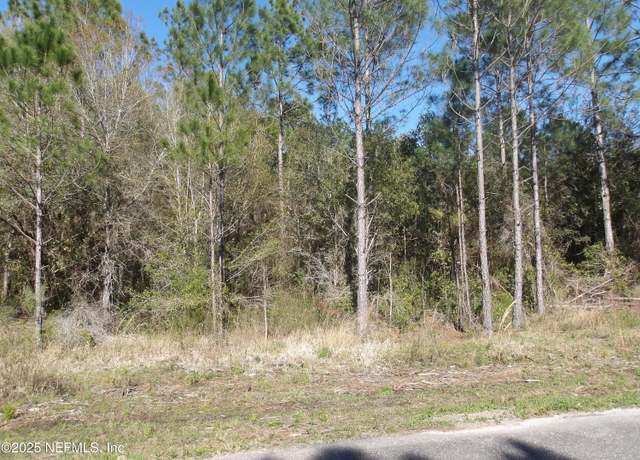 Property at 0 Slew Ct, Palatka, FL 32177