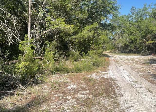Property at 117 Waites Dr, Florahome, FL 32140