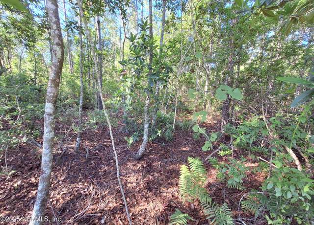 Property at 0 E Alachua St, Palatka, FL 32177