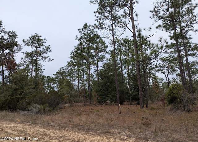 Property at 0070-0600 2nd St, Interlachen, FL 32148