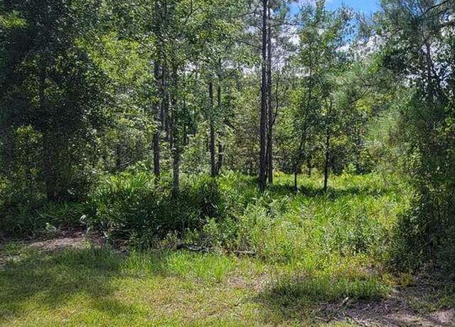Property at 4329 Bondarenko Rd, Keystone Heights, FL 32656
