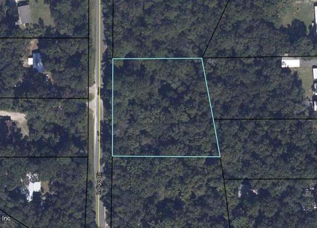 Property at 2764 Indigo Cir, Middleburg, FL 32068
