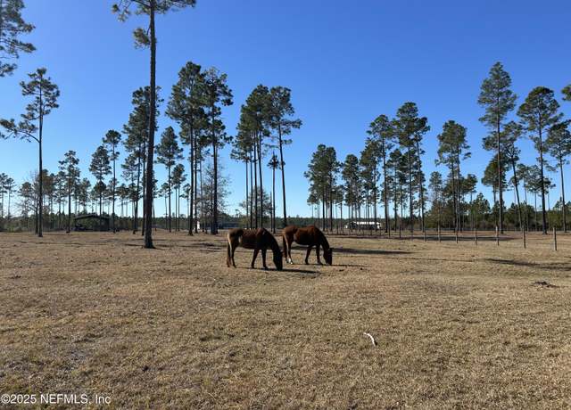 Property at 12260 Oc Horne Rd, Sanderson, FL 32087, 4 beds, 2 baths
