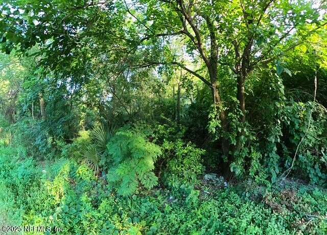 Property at 0 Owen Ave, Jacksonville, FL 32208