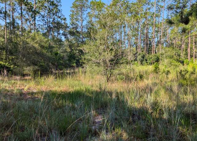 Property at 0 Garcia St, Interlachen, FL 32148