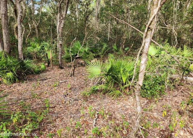 Property at 123 Chickasaw Pl, Satsuma, FL 32189