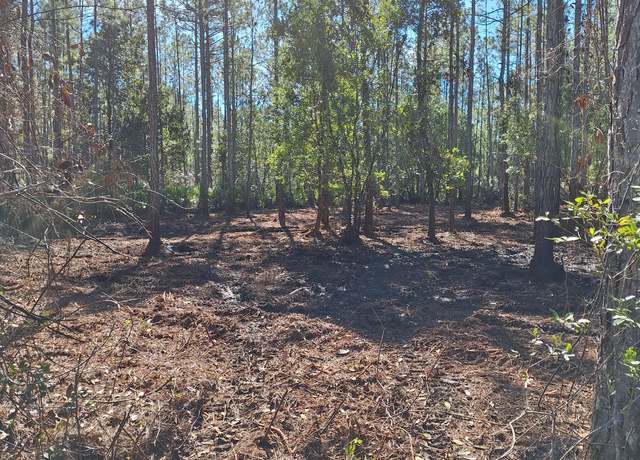 Property at 0 E Dixie St, Palatka, FL 32177