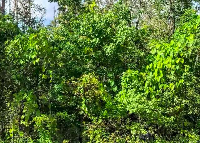 Property at 0 Beaver, Jacksonville, FL 32220