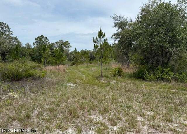 Property at XXX S Francis St, Interlachen, FL 32148