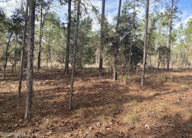 Property at LOT 20 SW Buena Vista Rd SW, Dunnellon, FL 34431