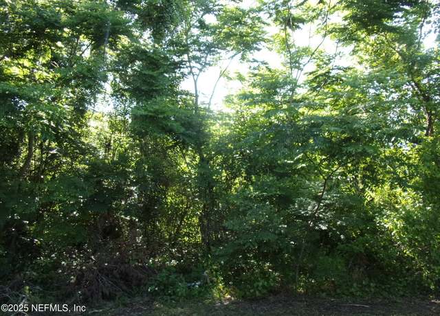 Property at 000 Edgemoor Trl, Palatka, FL 32177