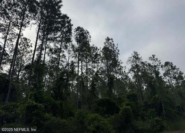 Property at 0 Baylor Ave, Hastings, FL 32145