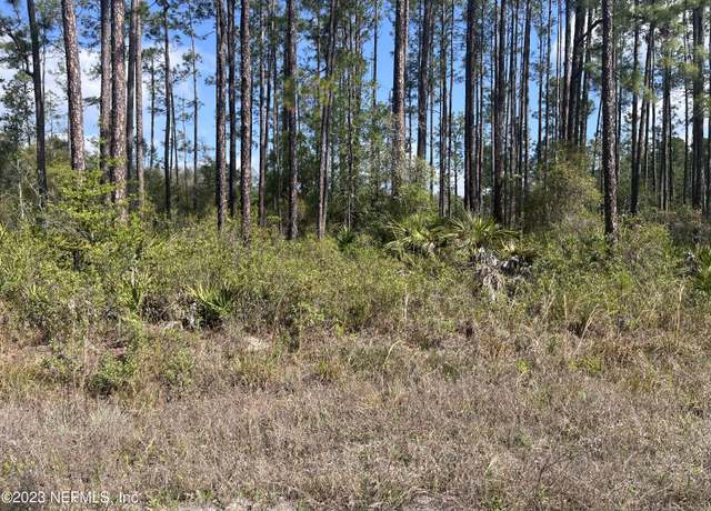 Property at 00 Hamrick St, Interlachen, FL 32148