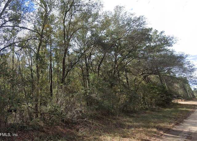 Property at 141 Sigman St, Florahome, FL 32140