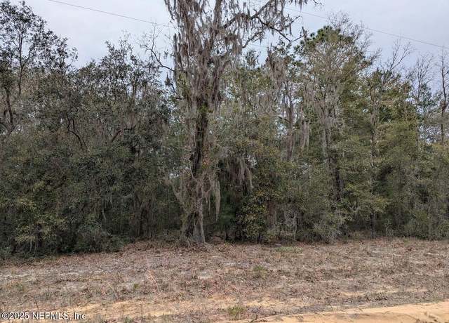 Property at 1010-0240 Neisman Ave, Interlachen, FL 32148
