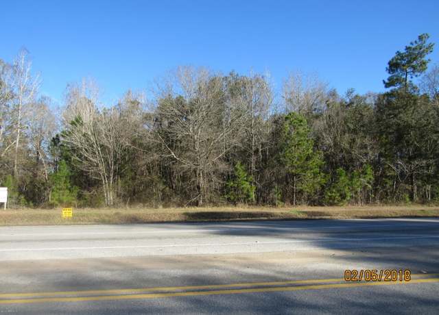 Property at 0 County Rd 220, Middleburg, FL 32068