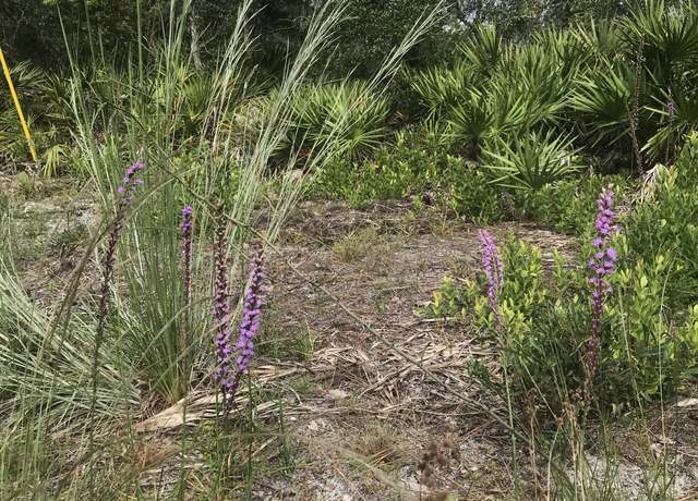 Property at 0 Summit Rd, Satsuma, FL 32189