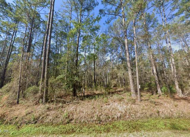 Property at 10675 Delgado Ave, Hastings, FL 32145