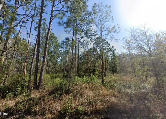 Property at 0 Erickson Ave, Hastings, FL 32145