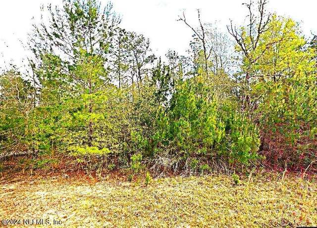 Property at 110 Del Monaco Ave, Interlachen, FL 32148