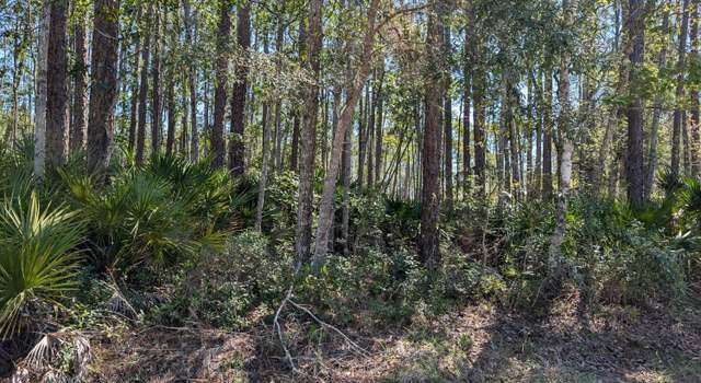 Photo of LOT 37 Dines Ave, Interlachen, FL 32148