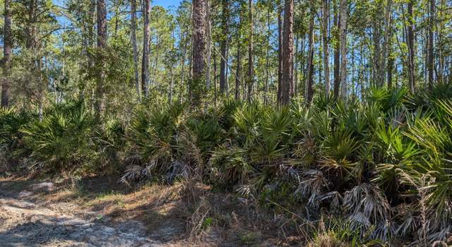 Photo of LOT 36 Dines Ave, Interlachen, FL 32148