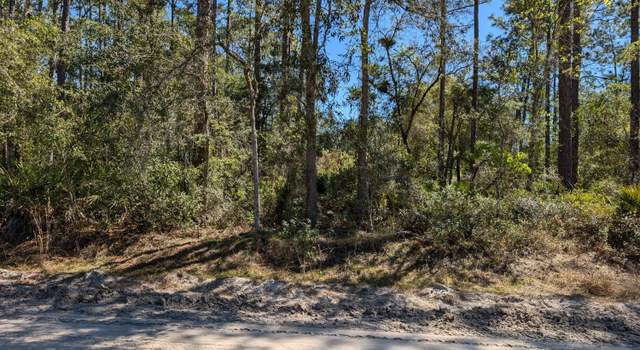 Photo of LOT 35 Dines Ave, Interlachen, FL 32148