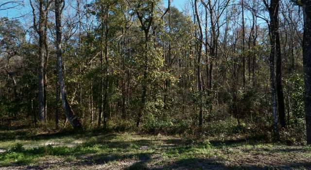 Photo of 2779 Periwinkle Ave, Middleburg, FL 32068