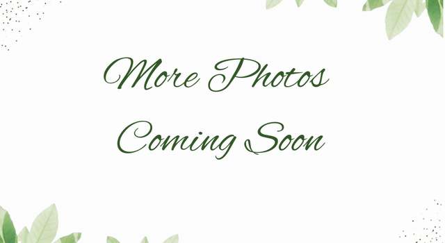 Photo of 545 Ash St, Orange Park, FL 32073