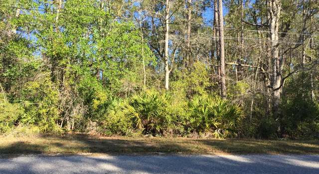 Photo of 4539 Tarragon Ave, Middleburg, FL 32068